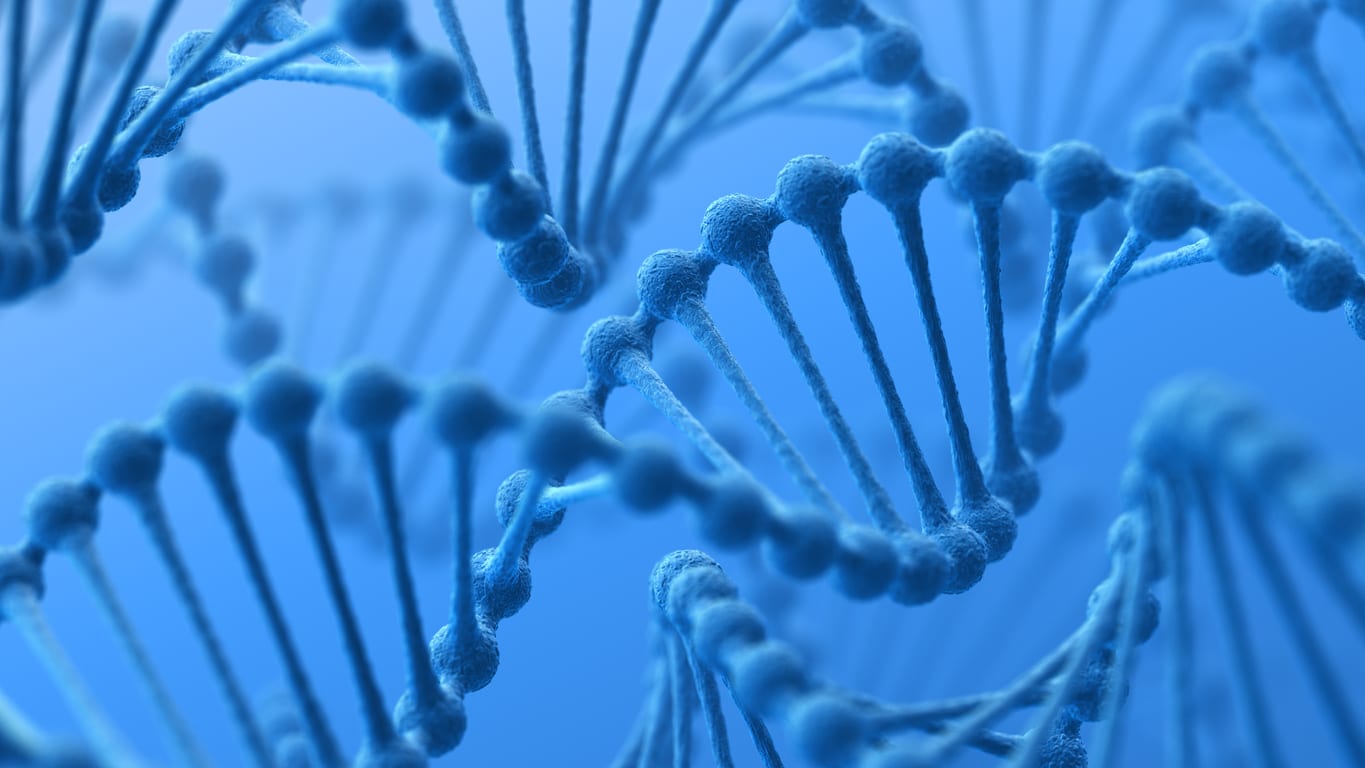 DNA Helix